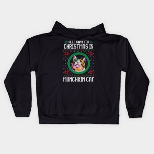 All I Want for Christmas is Munchkin Cat - Christmas Gift for Cat Lover Kids Hoodie